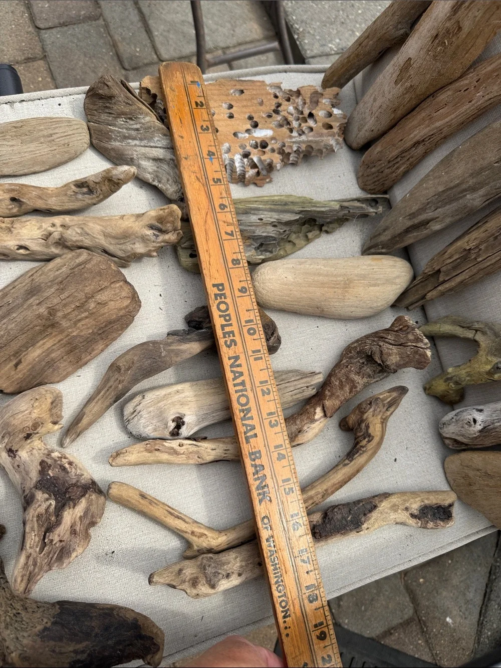 22 pcs(5lb shipped)Natural Driftwood & Beach Wood Accent Collection decor, craft